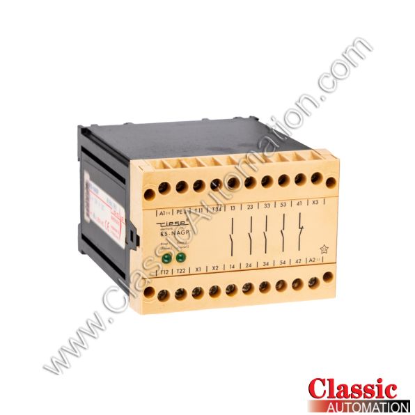 Riese Electronic Part Number RS-NAGP Riese Electronic Part Number RS-NAGP